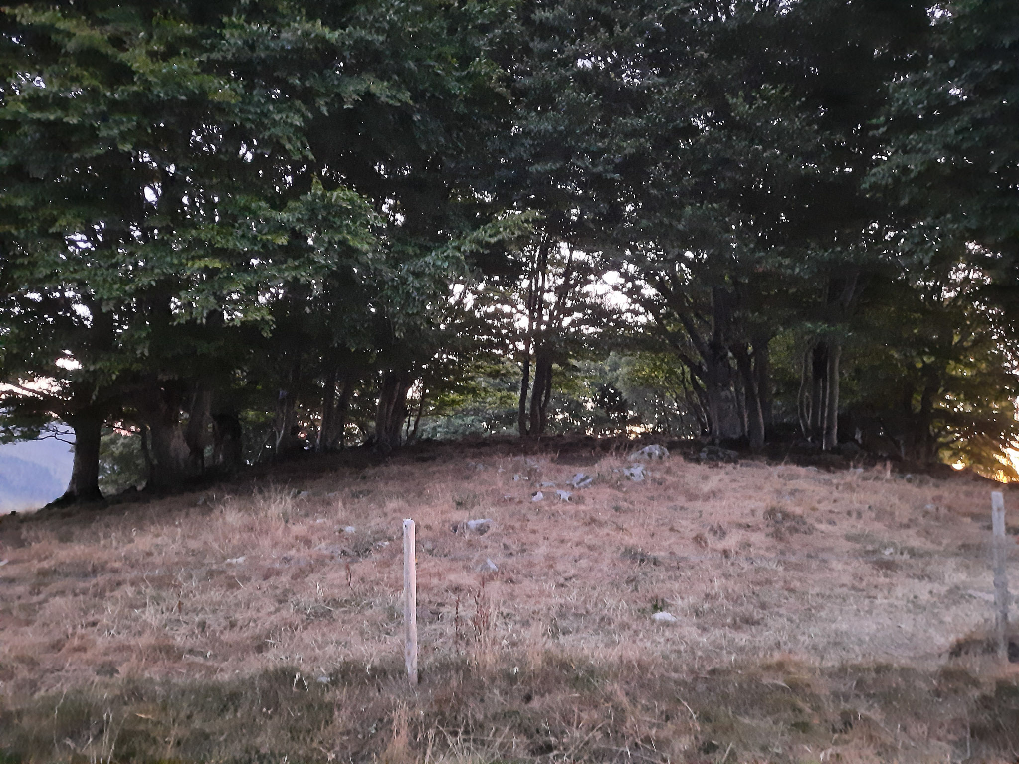 20220813210551 20220813 210551